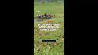Pilot of crashed plane describes what it was like being rescued from alligator-infested swamp