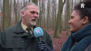Eekhoorn in Kralingse Bos mag toch blijven