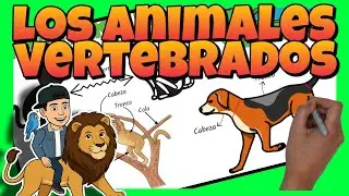 🦁 VERTEBRATE ANIMALS for PRIMARY SCHOOL CHILDREN