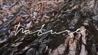 Quick Nature Video! Canon M50 Markii