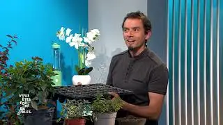 Xavier Bunker dans 
