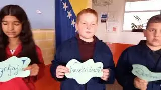 video vrsnjacko nasilje