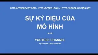 SỰ DIỆU KỲ CỦA M&Ocirc; H&Igrave;NH BIỂU ĐỒ  - WONDERFULL CHART PATTERNS - OFREZH.COM - VALUES IN NATURE