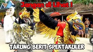 Tarung berit spektakuler !! Reog Wahyu budaya muda