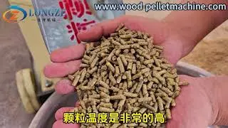 Detailed explanation of the test steps of feed pellet machine from raw materials to finished pellets