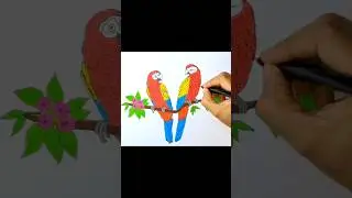 Macaw parrot 🦜 drawing #macawbird #macawparrot #drawingandcoloringforchildren