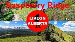 EPIC MOUNTAIN VIEWS: Hiking the Raspberry Ridge Trail #canadianrockies