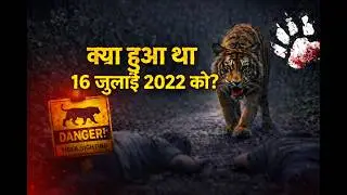 Mohan Tiger Incident | Tigger Attack | 16 July 2022