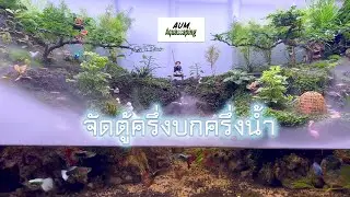 จัดตู้ครึ่งบกครึ่งน้ำในตู้ 48 นิ้ว