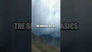 Surviving a Flash Flood: Quick Thinking Saves Lives
