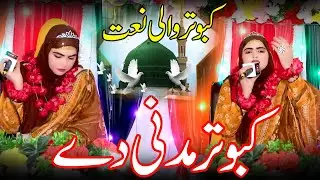 Iram Shahbaz || Kabutar Madini Dy || kabutar wali naat || New Naat 2026