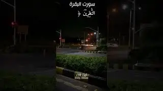 Hearttouching Qur'an Translation ❤️#surahbaqarah Ayat 69 🎧#islamicshort #subscribemychannel #Support