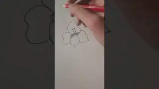 How to draw a Gladiolus flower! 🌼 🌸 🌻 #gladiolus, #flower, #art, #viral, #shorts, #likeandsubscribe