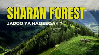 Sharan Jungle Mein Subah Ki Sair &ndash; Jadoo Ya Haqeeqat? 🌲Sharan ka Jadooi Jungle #sharanforest #sharan