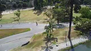 Bosques de Palermo - Ciudad Aut&oacute;noma de Buenos Aires - Argentina