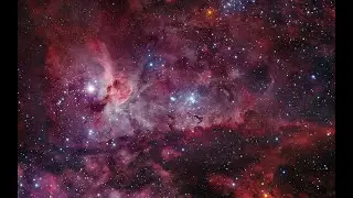 DonMeowleone - Eternity (Demo)