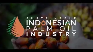 Introduction To Palm Oil | Indonesian Palm Oil Association (IPOA)