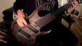 Trying out my new Ibanez BTB 805MS