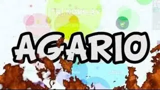 Agario Stream