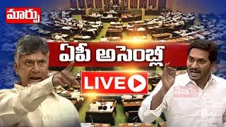 AP Assembly LIVE | Andhra Pradesh Assembly One Day Session LIVE | Maarpu TV