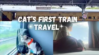 Travelling with my cat by train, book chats, low-key Diwali at home | Kerala Vlog