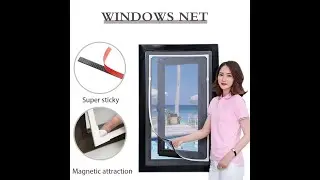 Window net video