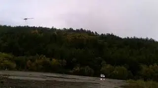 Trex 800 DFC Mega Crash