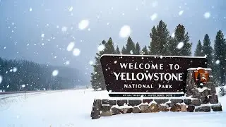 Exploring Yellowstone
