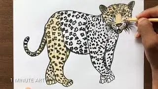 How to Draw a Jaguar