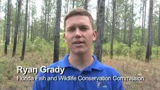 Good Times on Talquin WMA