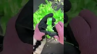 Soap Carving ASMR | Oddly Satisfying Relaxing Sounds | Pure Satisfaction | No Talking ASMR #soap
