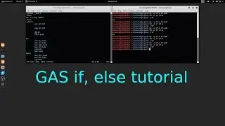 GAS x64 GNU Assembler conditional statement tutorial in Linux