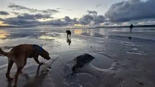 Lahinch Beach Co. Clare Ireland Travel Vlog 2023 ShutterBug Infinity