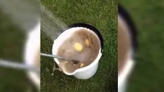 Новейшая модель картофелечистки.