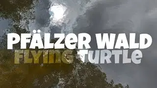 Pf&auml;lzer Wald | Flying Turtle