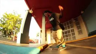 Roberto Santana - Switch 360 Flip Manual