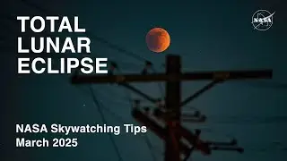 What's Up: March 2025 Skywatching Tips from NASA