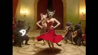 Belajar tari dulu bolo😍😍😍