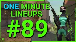 One minute lineups #89 | Bind 😎#shorts #molly #bind