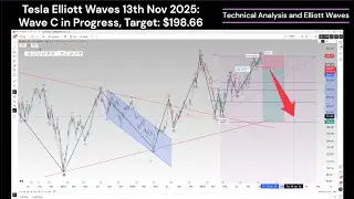 Tesla Elliott Waves Analysis 13th Nov 2025