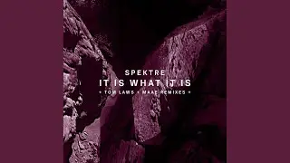 It Is What It Is (Original Mix)