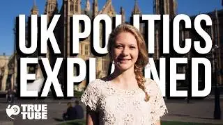 An Idiot's Guide To Politics
