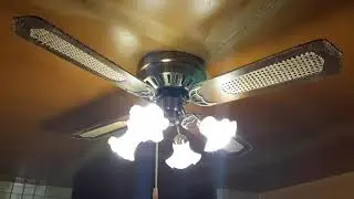 Palm Air 52