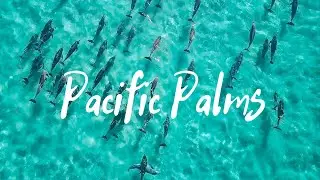 Pacific Palms NSW - Weekend getaway