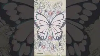 Beautiful coloring page from Butterfly Bliss