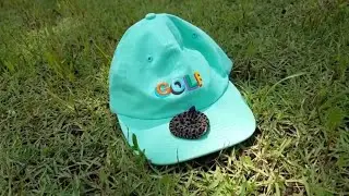 Catching a Deadly Pygmy Rattlesnake barehanded (2019)