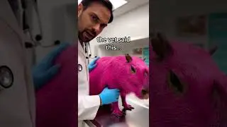 She painted a capybara pink for a trend on TikTok