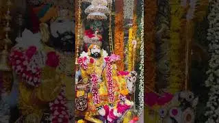 #ramdevji भव्य दर्शन रामदेव जी #shortvideo