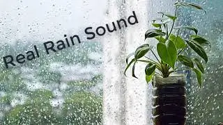 ✔☔☔🌧🌧 Real Rain Sound | Soothing| Mood  | Deep Sleep| Relax, Sleep & Study|✔☔