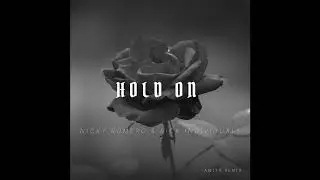 Nicky Romero & Sick Individuals - Hold On(Amit&auml; Remix)